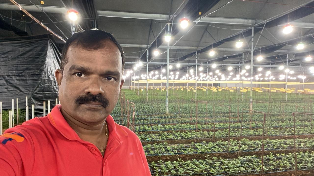 Naamadhaari